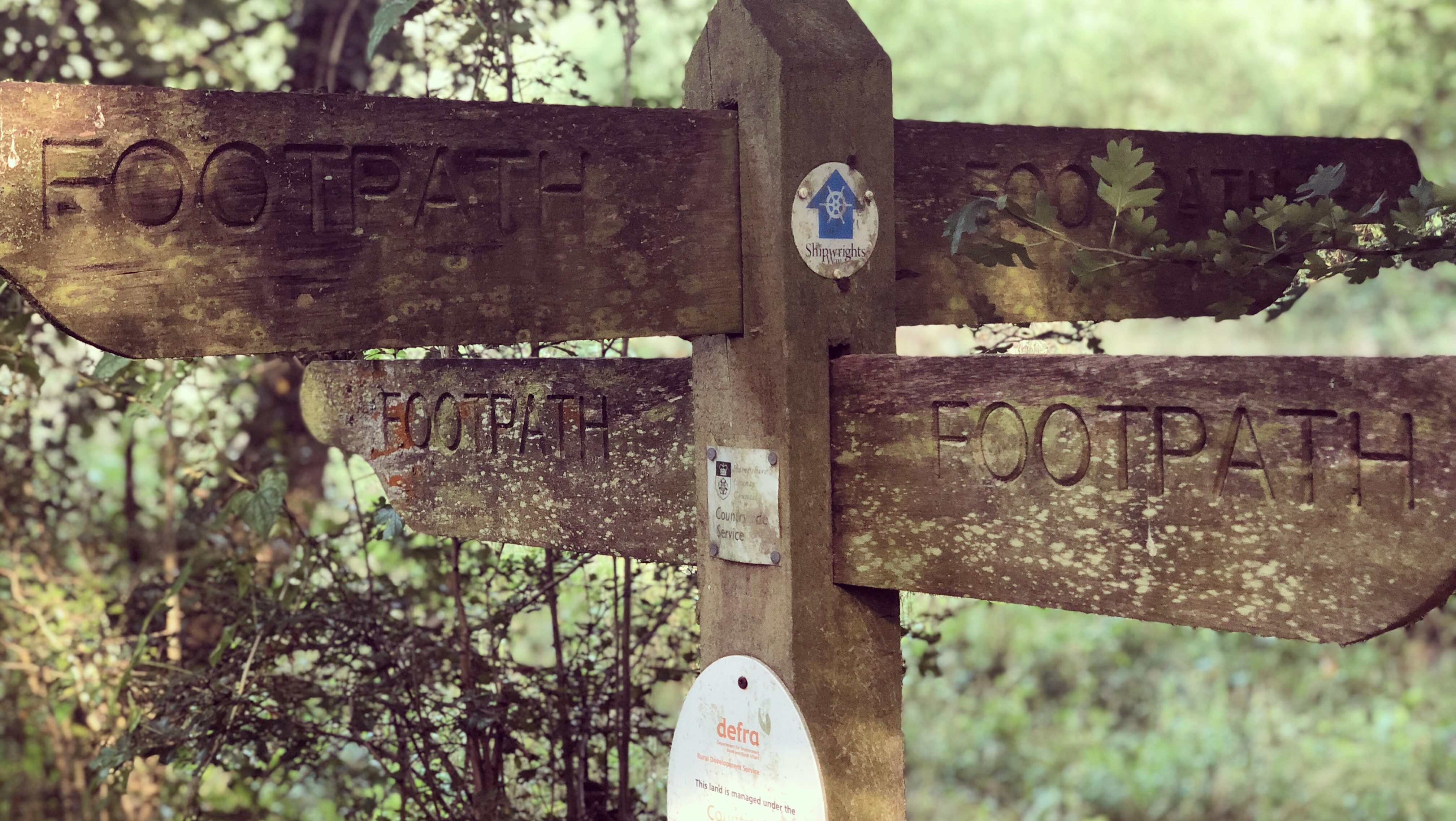 Signpost on the Shipwrights Way footpath near Bentley railway station.